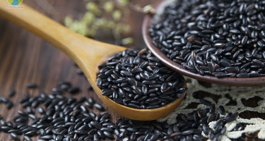 Gạo lứt đen có tốt cho người tiểu đường không?