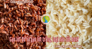 So sánh gạo lứt đỏ và gạo lứt trắng, loại nào tốt hơn? 