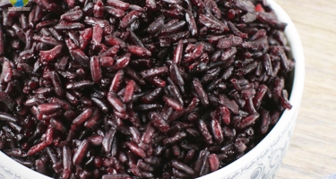 Gạo lứt tím than có tốt cho người tiểu đường?