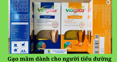 Gạo mầm Vibigaba cho người bệnh tiểu đường (ăn no không lo bị tăng đường huyết)