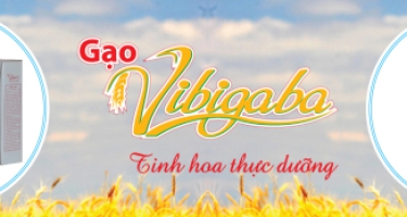 Gạo Vibigaba “BIẾN CƠM THÀNH THUỐC”