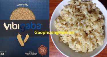 Công dụng gạo mầm Vibigaba theo B.S Lương Lễ Hoàng