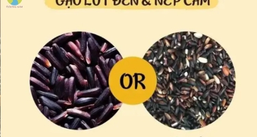 Gạo lứt đen có phải là gạo nếp cẩm không?