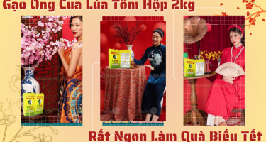 Gạo ST25 lúa tôm hộp 2kg làm quà Tết: Giá và cách chọn