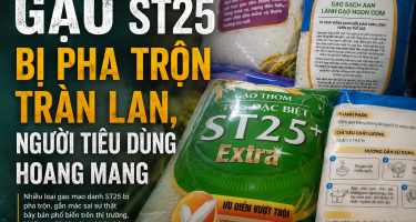 Gạo ST25 bị pha trộn tràn lan, người tiêu dùng hoang mang