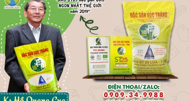 Gạo ST25 Chính Hãng - Gạo Ông Cua
