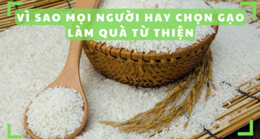 Tại sao các mạnh thường quân lại chọn “Gạo“ làm quà trong mùa Vu Lan?