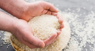 Vì Sao Cần Chọn Gạo Chất Lượng Khi Làm Từ Thiện?