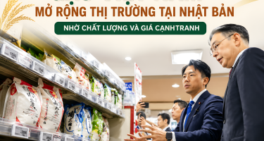 Gạo Việt Nam mở rộng thị trường tại Nhật Bản nhờ chất lượng và giá cạnh tranh