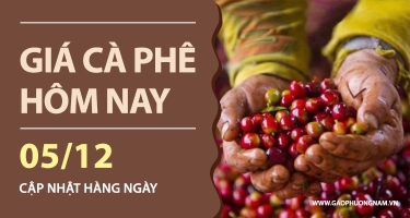 Giá Cà Phê Hôm Nay 05/12/2025: Arabica Bật Tăng Mạnh, Giá Trong Nước Nhích Lên Trở Lại