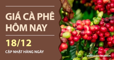 Giá cà phê hôm nay 18/12/2025: Lao dốc mạnh, thị trường thủng mốc 90.000 đồng/kg