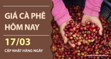 Giá cà phê hôm nay 17/03/2026