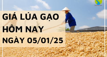 Giá lúa gạo hôm nay 05/01/2025: Giá các loại gạo giảm mạnh 300 - 350 đồng/kg