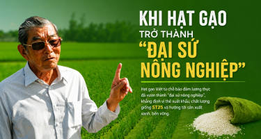Khi hạt gạo trở thành “đại sứ nông nghiệp”