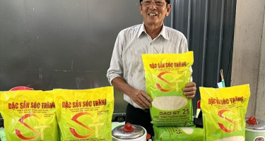 Bảo Vệ Giống ST25: Nền Tảng Cho Nông Nghiệp Hữu Cơ Bền Vững