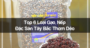 Top 6 Loại Gạo, Nếp Đặc Sản Tây Bắc Thơm Dẻo