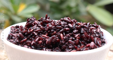 Nếp Tây Bắc mua ở đâu?