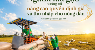 Ngành lúa gạo hướng tới nâng cao quyền định giá và thu nhập cho nông dân
