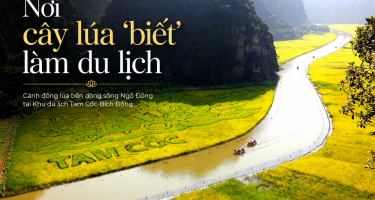 Nơi cây lúa “biết” làm du lịch