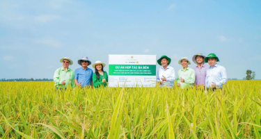 Nông sản Việt Nam - Top thế giới nhưng giá trị vẫn chưa cao?