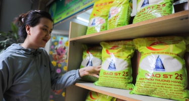 Gạo Việt tăng cường xuất khẩu trên trường quốc tế 