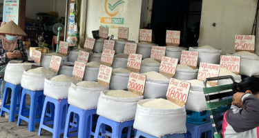 Vì Sao Giá Gạo Bán Lẻ Ngoài Thị Trường Giảm Nhưng Sức Mua Vẫn Yếu?