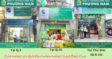 Địa điểm bán gạo ST25 (kỹ sư Hồ Quang Cua) chính hãng vào dịp tết