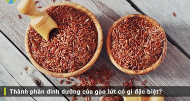 Thành phần dinh dưỡng của gạo lứt có gì đặc biệt?