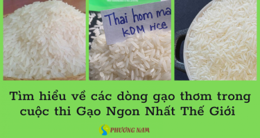 Tìm hiểu về 2 dòng gạo thơm Campuchia (Phka Romdoul) và gạo Thái Lan (Hom Mali)