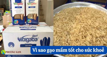 Tìm hiểu lý do vì sao gạo mầm tốt cho sức khoẻ