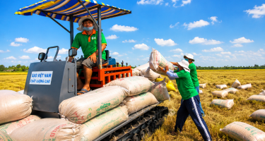 Vì sao Philippines gia tăng nhập khẩu gạo Việt Nam?