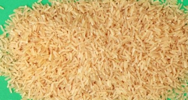 Gạo mầm VIBIGABA hay gạo lức lên men giàu dưỡng chất