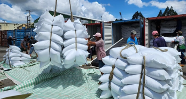Việt Nam đã xuất khẩu 4,5 triệu tấn gạo, thu về trên 2 tỷ USD, Philippines, Trung Quốc, Ghana liên tục tăng mua