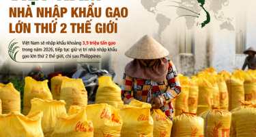 Việt Nam – Nhà nhập khẩu gạo lớn thứ 2 thế giới
