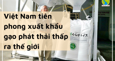  Việt Nam tiên phong xuất khẩu gạo phát thải thấp ra thế giới