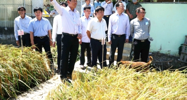 Xứ Sở Hạt Gạo “Ngon Nhất Thế Giới”