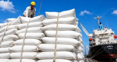 Xuất khẩu gạo thu về hơn 2 tỷ USD sau 5 tháng