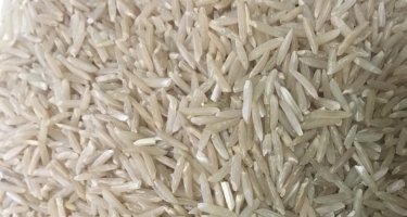 Gạo mầm (GABA) ST24 mềm ngon và khác biệt điểm gì?