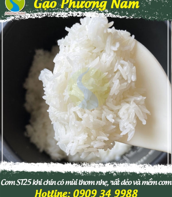 Gạo Hữu Cơ ST25 (Organic tiêu chuẩn USDA) - Hộp 2kg