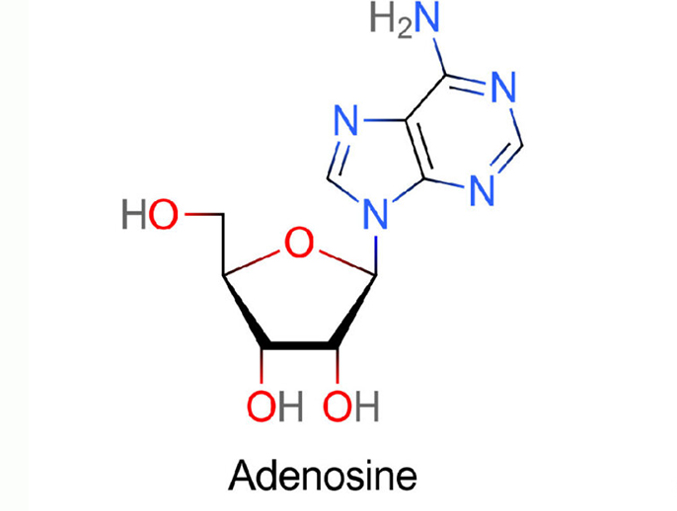 cấu trúc của adenosine