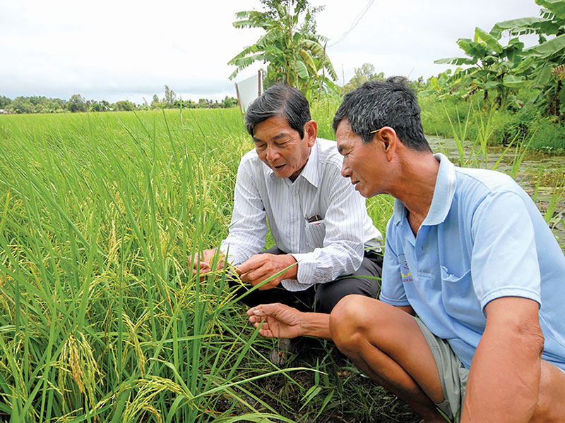 Gạo Ông Cua đạt giải Gạo Ngon Nhất Thế Giới Năm 2023