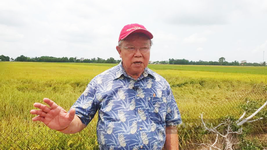 Theo GS Võ Tòng Xuân, dứt khoát phải giảm diện tích lúa