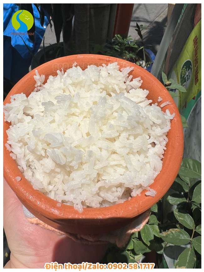 Gạo cơm niêu 