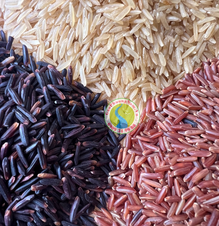Các loại gạo lứt đỏ, gạo lứt đen, gạo lứt trắng 