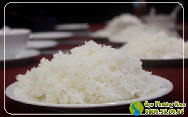 gạo ST23  còn cho cơm chắc dẻ hơn các loại gạo thơm ST hiện tại.