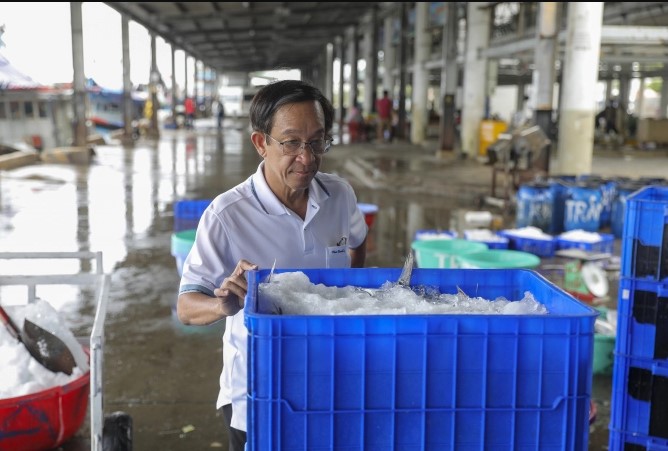 Nước mắm 584 được chọn lọc từ nguồn nguyên liệu tươi mới từ vùng biển Nha Trang 