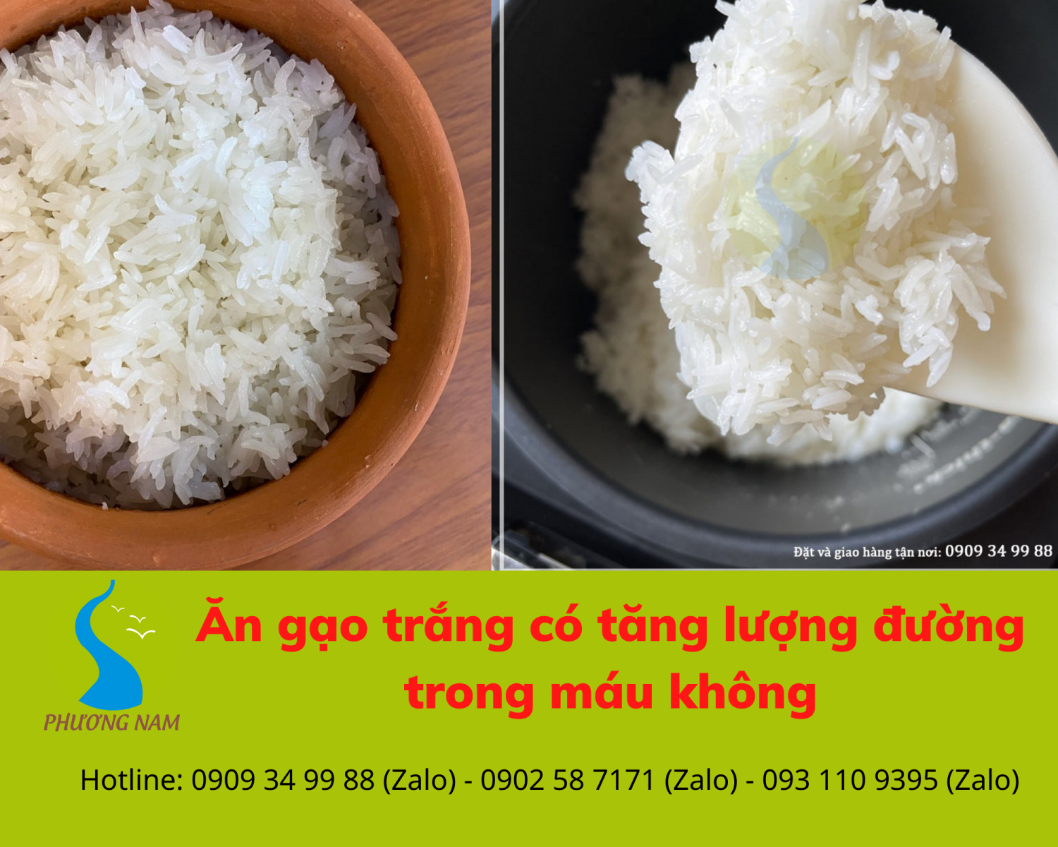 cơm trắng có làm tăng lượng đường trong máu - gaophuongnam.vn