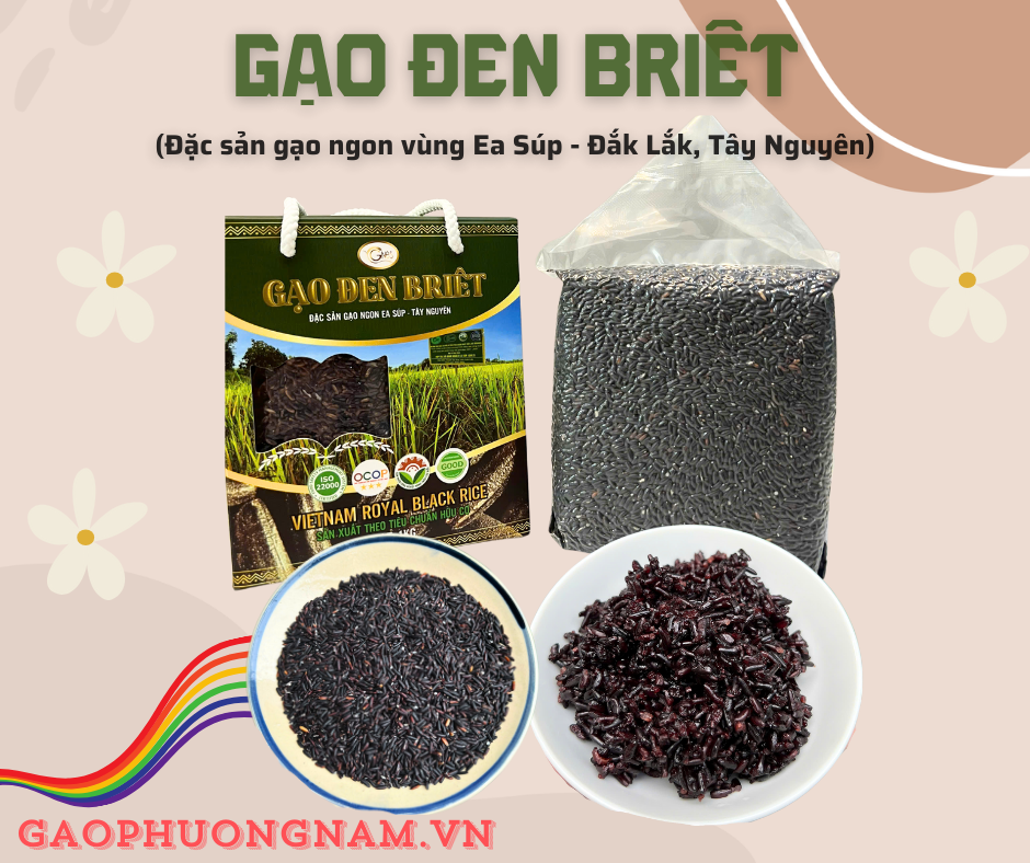 Gạo lứt đen Briêt