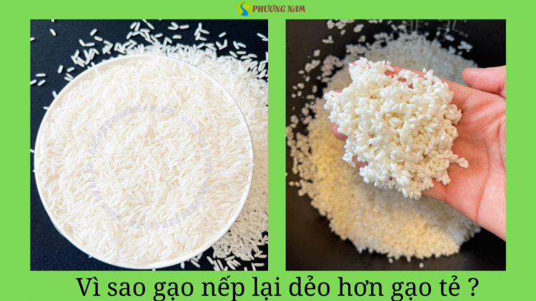 Sự khác biệt giữa gạo nếp và tạo tẻ