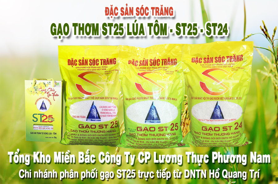 Gạo Phương Nam - Chi nhánh phân phối gạo ST25 trực tiếp từ DNTN Hồ Quang Trí